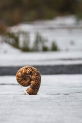 a sprout growing along the way