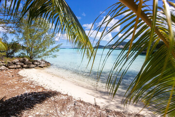 Palm tree fronds on a tropical island remote sandy beach with turquoise water