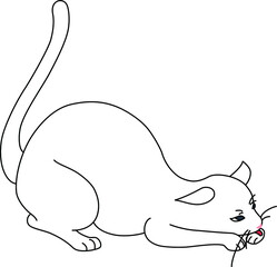 白猫のストレッチ