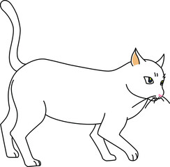 前を向いている白猫