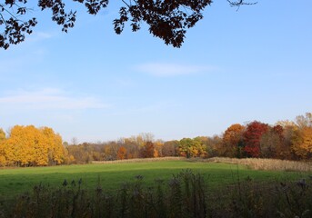 autumn landscape with trees