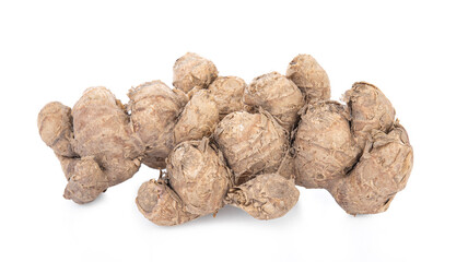 Black Galingale isolated on white background.