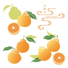 不知火のイラスト/手ぬぐい風/和柄