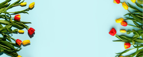 Yellow red  tulip flowers bouquet with hard and soft shadow on blue, copy space. Banner for seasonal holiday, springtime concept, International Woman day 8 march, Happy Easter greeting flyer