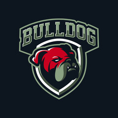 Bulldog mascot design for sport or e-sport team
