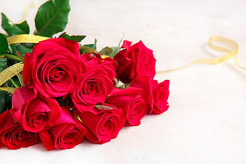 Bouquet of beautiful red roses on light background