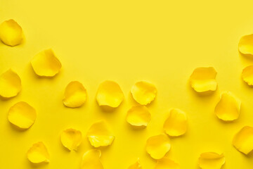 Beautiful yellow rose petals on color background