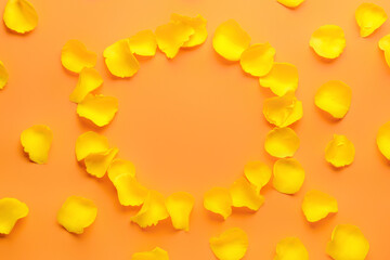 Frame made of beautiful yellow rose petals on color background