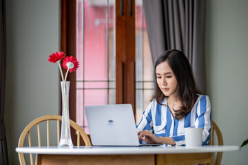 beutiful woman working on laptop in the room.