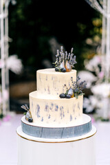 wedding cake lavender two floors with lavender figs and blackberries decorated with rhinestones on the background of wedding decor
