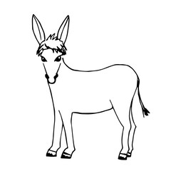 Hand-drawn simple black outline vector drawing. A cute donkey, animal, in full growth. Farm livestock.