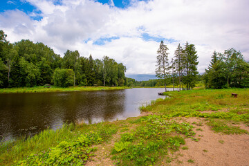 The shore of a pond in a Russian village with birches on a clear summer day