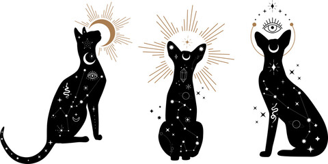 Set of black magical cats, Mystic Sphynx cat with crescent moon esoteric symbol, constellation, stars and magical elements. Magical cat,witchy black cat