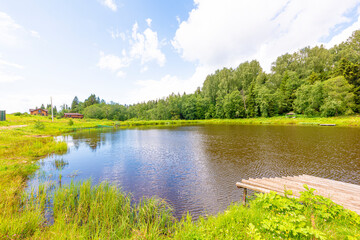 The shore of a pond in a Russian village with birches on a clear summer day