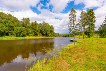 The shore of a pond in a Russian village with birches on a clear summer day