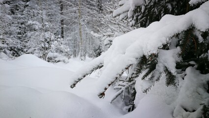 Landschft, Winter