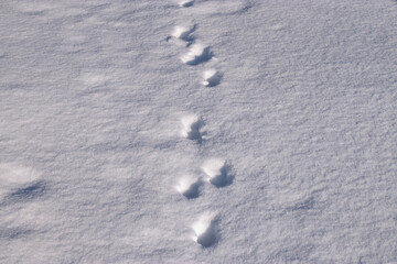 trail of footprints on the snow