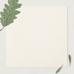 Dried leafy psd paper card background