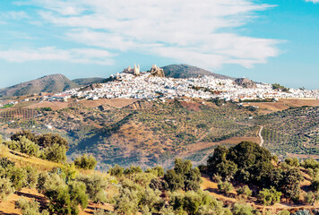 White town of Olvera in Andalusia