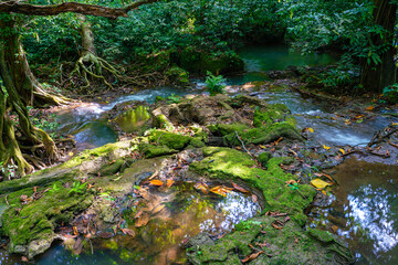Beautiful waterfall in tropical rainforest green tree background