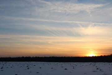 snow field in front of the forest in winter. sunset