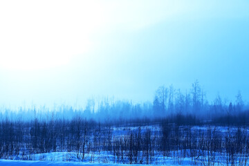 Winter landscape of country fields and roads