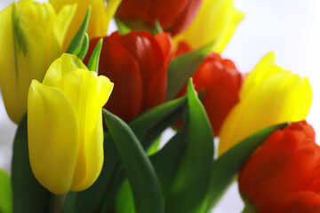 Flowers, spring holidays and home decor concept - Bouquet of beautiful tulips, floral background