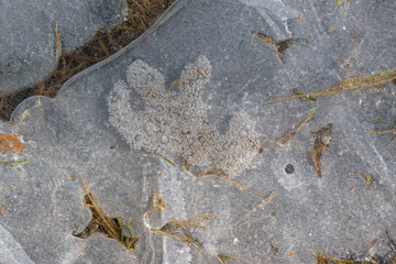 Frozen gas bubbles. Air and plants are frozen into the ice. Winter season concept.