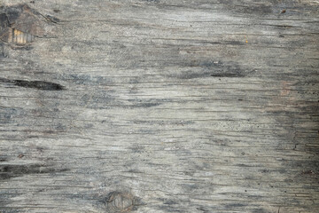 Obraz premium texture of bark wood use as natural background