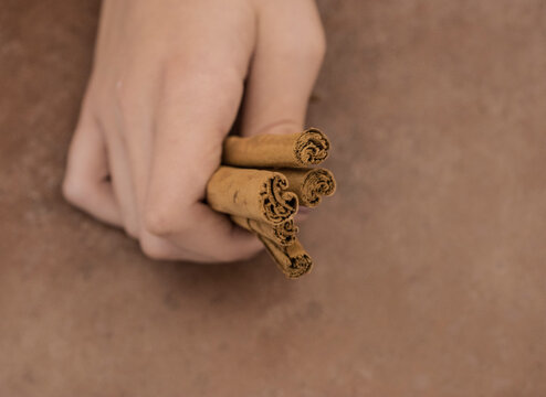 Close-up Of Human Hand Holding Cinnamon Sticks