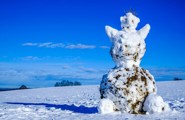 nice snow man at a field