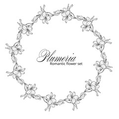 Black and white plumeria flowers. Plumeria. Flower wreath. Summer flowers. A romantic flower wreath.