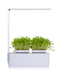 Lamp for growing homegrown microgreens. Microgreens are a source of useful microelements and vitamins isolated on white background.