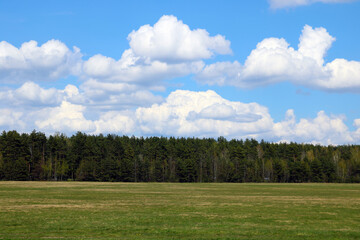 Fototapeta premium Nice view of the green forest and white clouds against the blue sky.