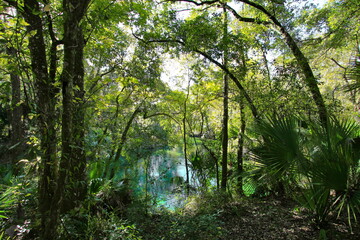 Fototapeta na wymiar Blue Spring State Park in Florida, USA