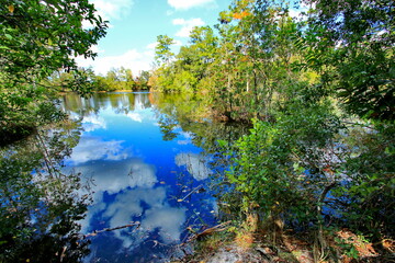 Blue Spring State Park in Florida, USA