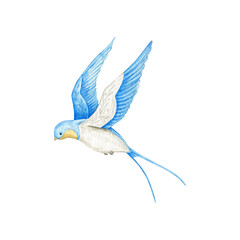 Watercolor swallow on white background. Flying  bird cartoon.
