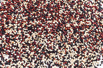 Fototapeta premium Black, red and white quinoa