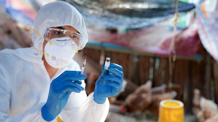 Veterinarians wear PPE clothing to vaccinate with chicken farm flu virus, veterinary medicine.