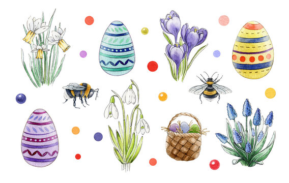 Spring flower easter watercolor set. Beautiful blooming season flowers, painted eggs, bee, bumblebee, busket collection. Spring decoration hand drawn rustic set. Season elements on white background.