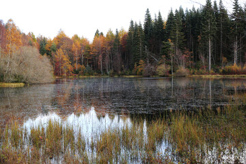Obraz premium Typical autumn landscape in Scotland