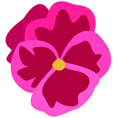 pink flower vector illustration