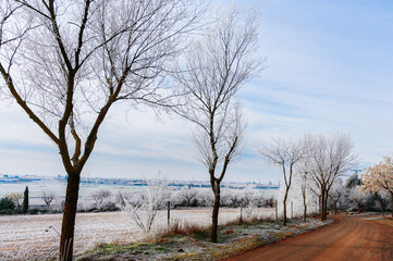 Mucho frio
