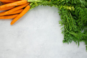 Carrots with tops on a grey concrete background