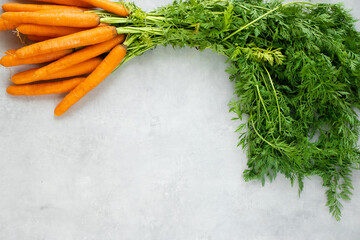 Carrots with tops on a grey concrete background