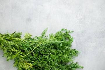 Green carrot tops on a grey concrete background 