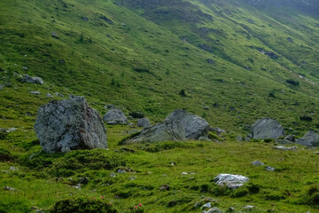 Fototapeta na wymiar single huge rocks on a green meadow in the mountains