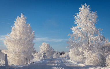 Obraz premium Winter morning on Reftinsky reservoir with snow-covered forest and road, Russia, Ural in January
