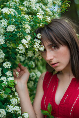 Portrait of a beautiful girl with dark hair in a red dress with neckline that stands near a green bush with blossoming white flowers. Young romantic caucasian woman sniffing spring flowers