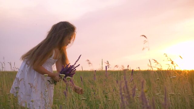 Little girl in a dress in the park. A child collects a bouquet of wild field flowers in a meadow. The girl walks in the open air. Happy little kid in the field.